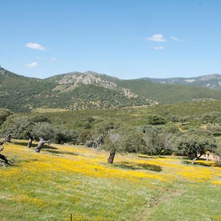 La Brizna Konuk evi Cañamero Dış mekan fotoğraf