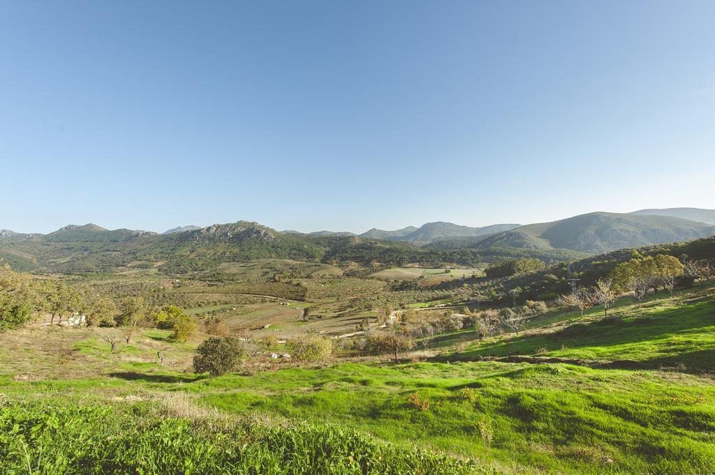 La Brizna Konuk evi Cañamero Dış mekan fotoğraf