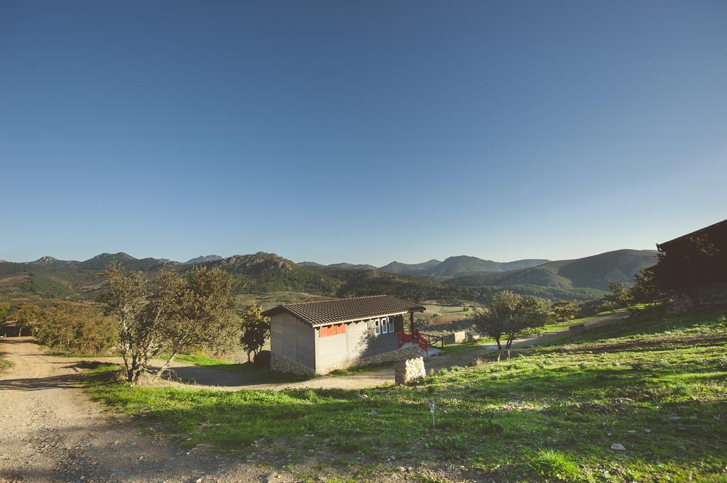 La Brizna Konuk evi Cañamero Dış mekan fotoğraf