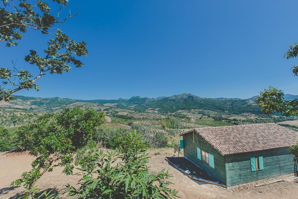 La Brizna Konuk evi Cañamero Oda fotoğraf